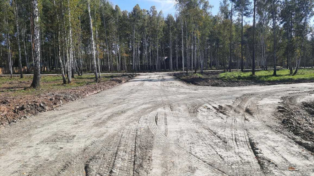 с. Балтым, район СНТ Звездочка (городской округ Верхняя Пышма) - фото сада (8)