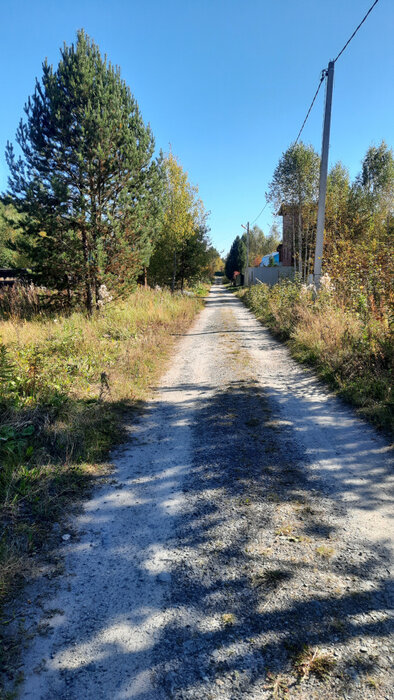с. Мостовское (г.о. Вехняя Пышма), к/с  Снт -111 (городской округ Верхняя Пышма) - фото сада (1)