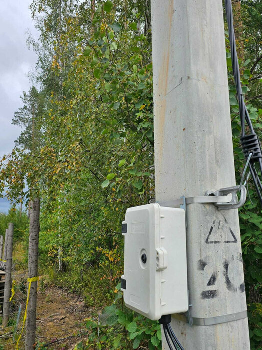 п. Зеленый бор, ТСН Луговое (городской округ Верхняя Пышма) - фото сада (2)