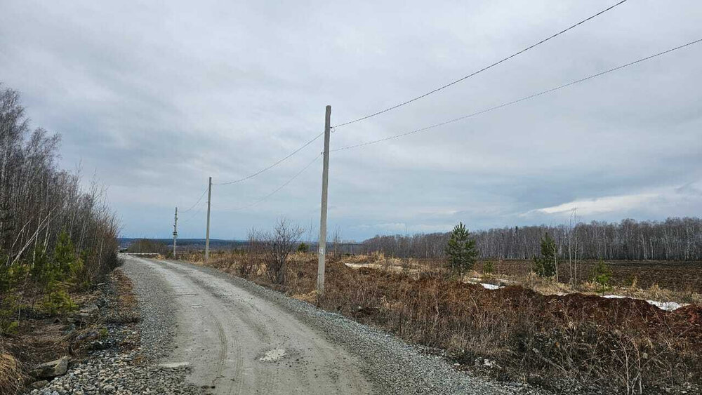 п. Зеленый бор, ТСН Луговое (городской округ Верхняя Пышма) - фото сада (6)