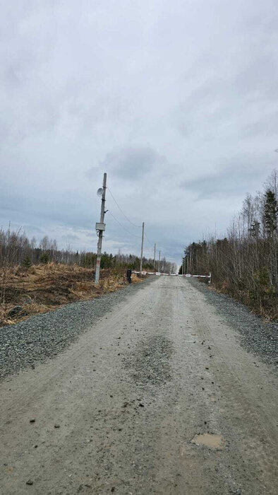п. Зеленый бор, ТСН Луговое (городской округ Верхняя Пышма) - фото сада (7)