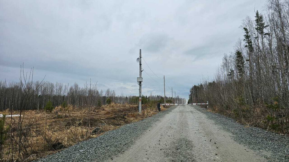 п. Зеленый бор, ТСН Луговое (городской округ Верхняя Пышма) - фото сада (8)