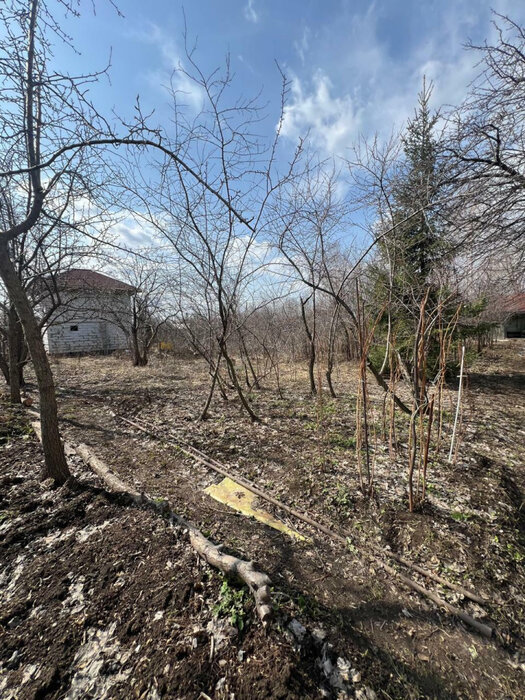 г. Березовский, Коллективный сад №5, ул. Строителей (городской округ Березовский) - фото сада (1)