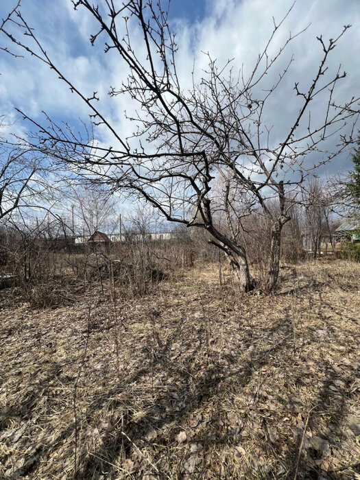 г. Березовский, Коллективный сад №5, ул. Строителей (городской округ Березовский) - фото сада (2)