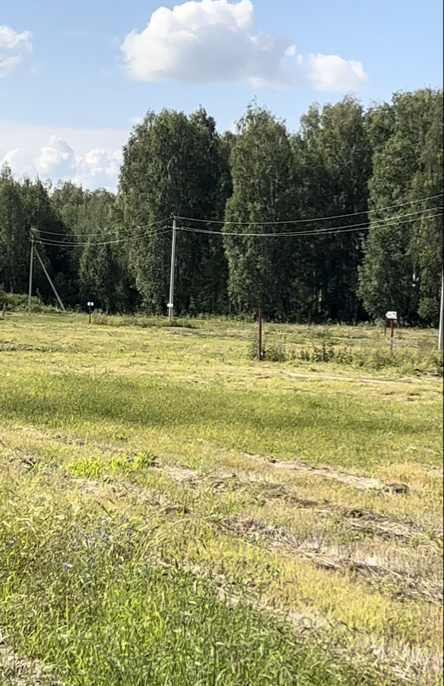 с. Мальцево, ул. Заречная, 32 (городской округ Тугулымский) - фото земельного участка (2)
