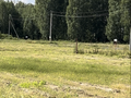 Продажа земельного участка: с. Мальцево, ул. Заречная, 32 (городской округ Тугулымский) - Фото 2