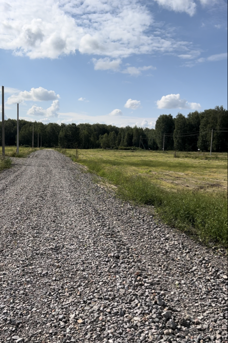 с. Мальцево, ул. Заречная, 32 (городской округ Тугулымский) - фото земельного участка (4)