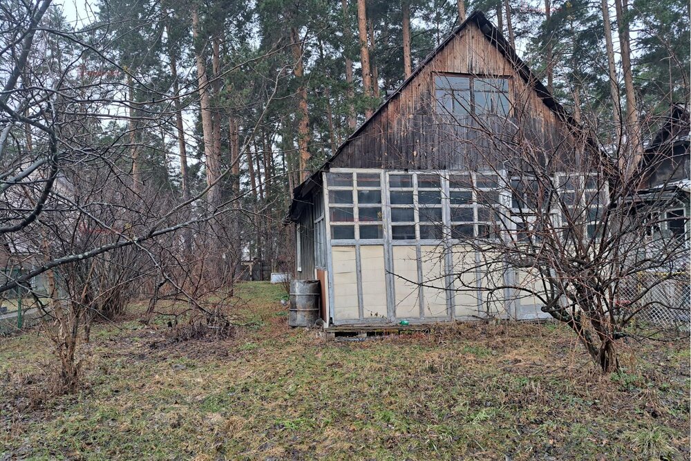 Екатеринбург, СНТ Сосновый Бор (Кольцово) - фото сада (1)