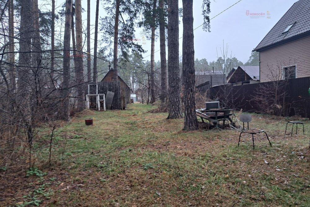 Екатеринбург, СНТ Сосновый Бор (Кольцово) - фото сада (3)