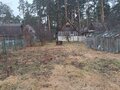 Продажа садового участка: Екатеринбург, СНТ Сосновый Бор (Кольцово) - Фото 4