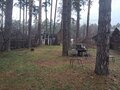 Продажа садового участка: Екатеринбург, СНТ Сосновый Бор (Кольцово) - Фото 5