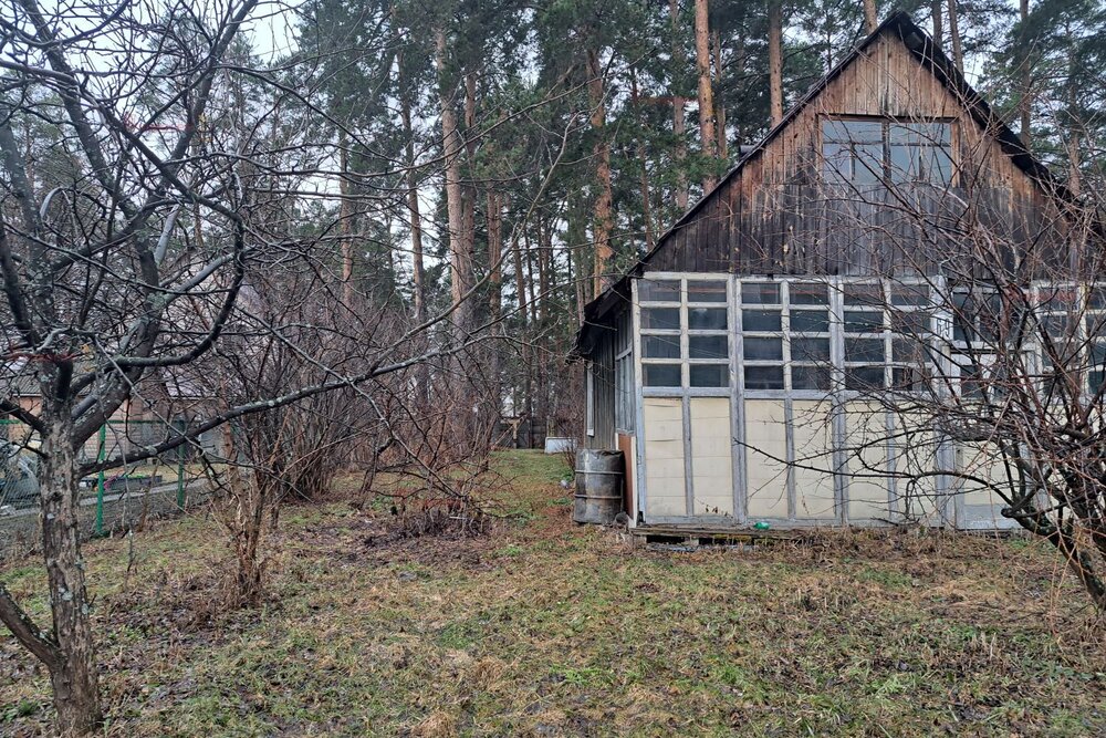 Екатеринбург, СНТ Сосновый Бор (Кольцово) - фото сада (6)