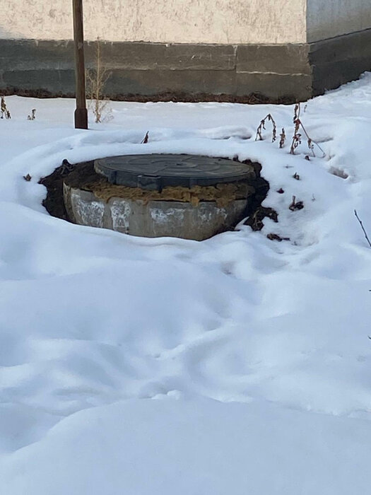 с. Патруши, ул. Революции, 66 (городской округ Сысертский) - фото дома (8)
