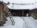 Продажа дома: с. Щелкун, ул. Гагарина, 9 (городской округ Сысертский) - Фото 7