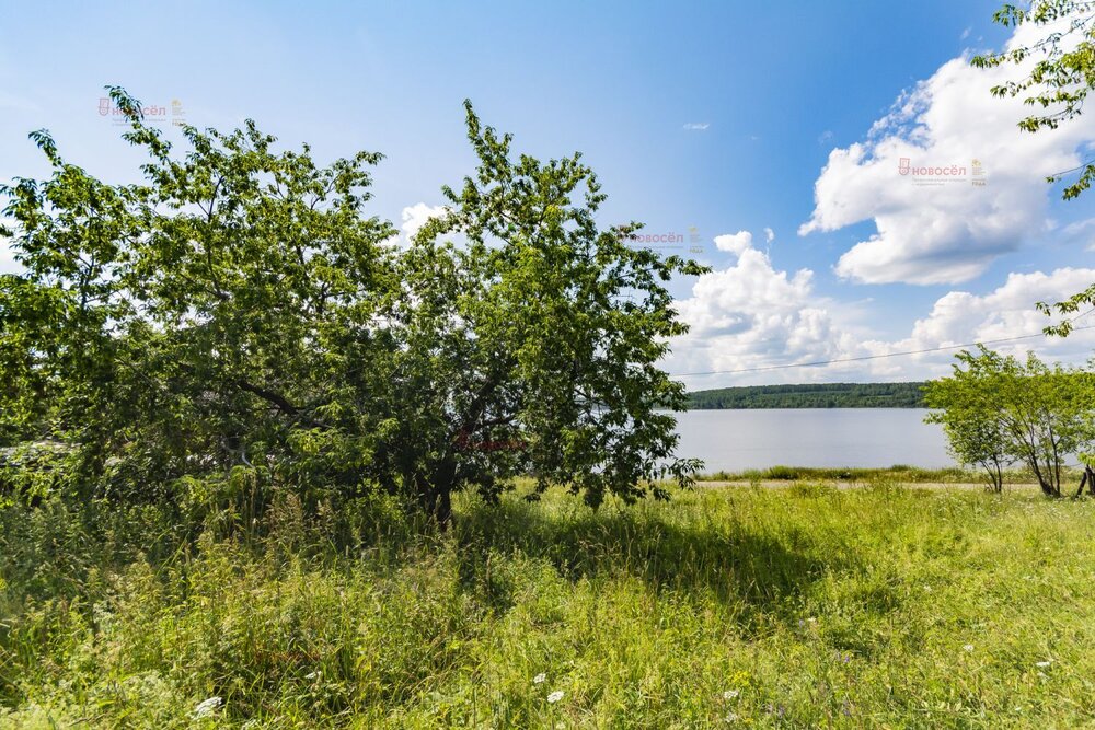 поселок городского типа Староуткинск, ул. Кирова, 113 (городской округ Староуткинск) - фото земельного участка (6)