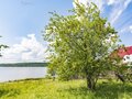 Продажа земельного участка: поселок городского типа Староуткинск, ул. Кирова, 113 (городской округ Староуткинск) - Фото 8