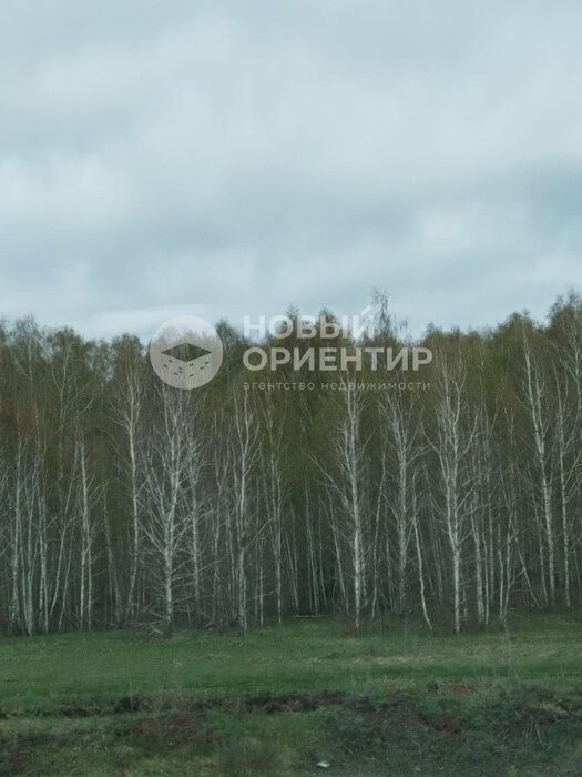 д. Сохарево (городской округ Режевской) - фото земельного участка (1)