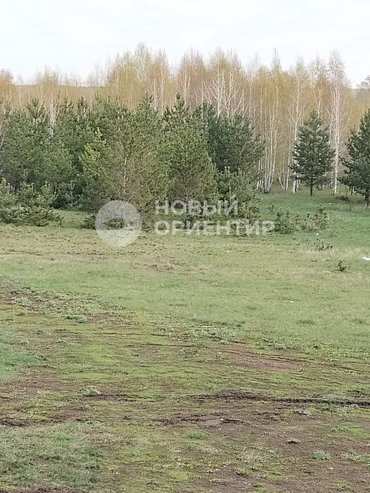 д. Сохарево (городской округ Режевской) - фото земельного участка (2)