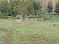 Продажа земельного участка: д. Сохарево (городской округ Режевской) - Фото 2