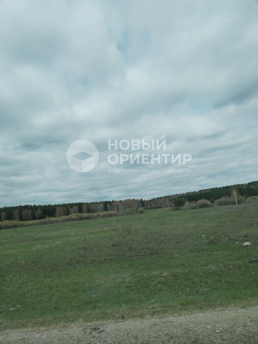 д. Сохарево (городской округ Режевской) - фото земельного участка (3)