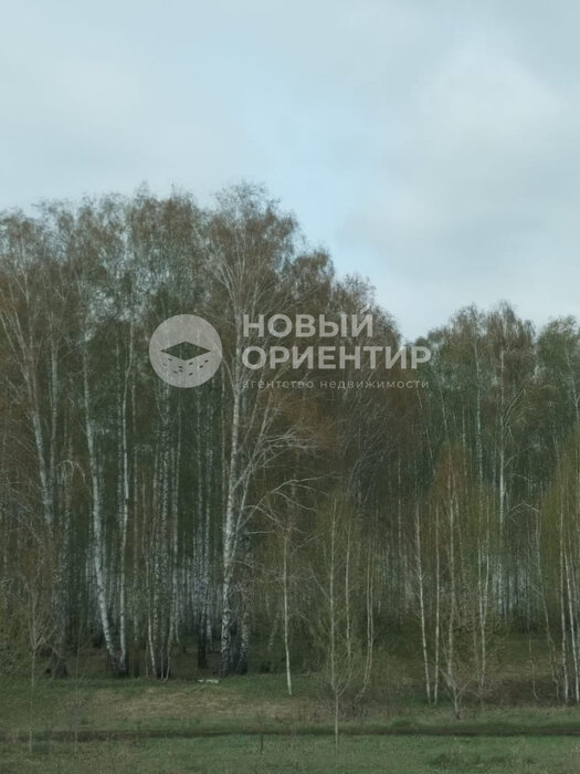 д. Сохарево (городской округ Режевской) - фото земельного участка (4)