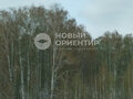 Продажа земельного участка: д. Сохарево (городской округ Режевской) - Фото 4