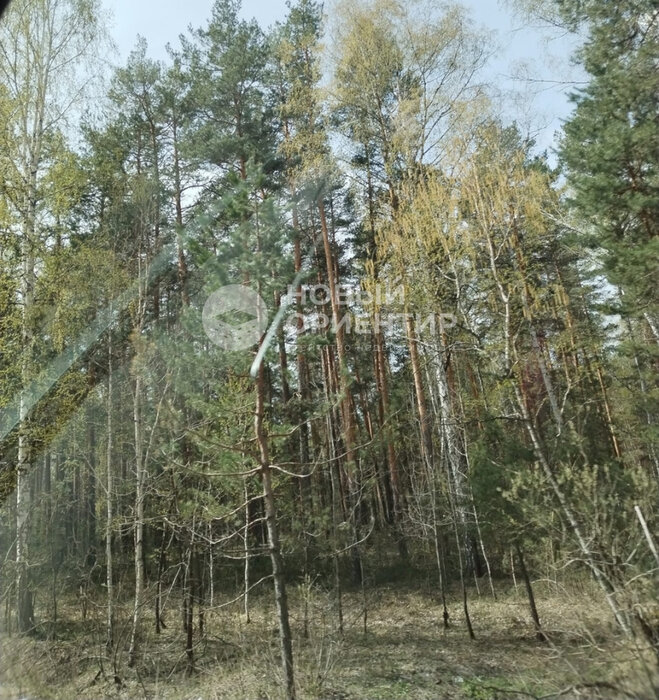 д. Сохарево, ул. Солнечная (городской округ Режевской) - фото земельного участка (1)