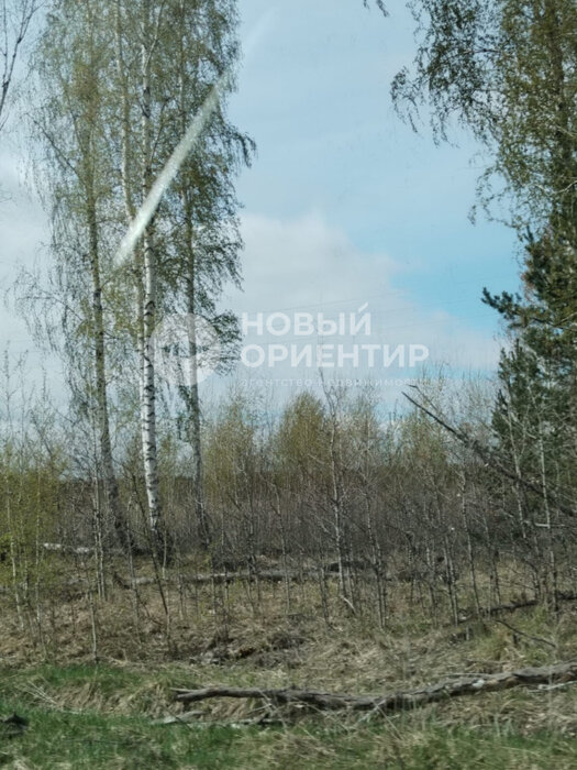 д. Сохарево, ул. Солнечная (городской округ Режевской) - фото земельного участка (5)