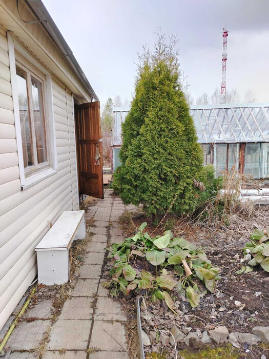 г. Верхняя Пышма, СНТ Калининец-8 (городской округ Верхняя Пышма) - фото сада (6)