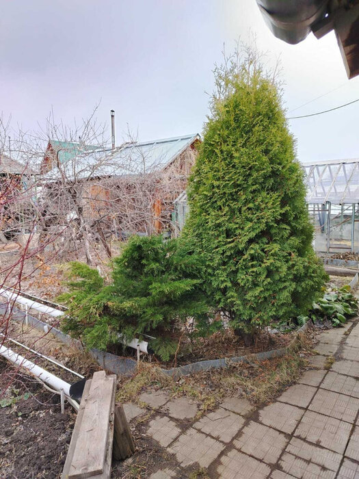 г. Верхняя Пышма, СНТ Калининец-8 (городской округ Верхняя Пышма) - фото сада (7)