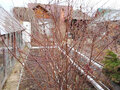 Продажа садового участка: г. Верхняя Пышма, СНТ Калининец-8 (городской округ Верхняя Пышма) - Фото 8