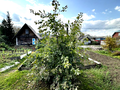 Продажа дома: г. Краснотурьинск, ул. Свободы, 30 (городской округ Краснотурьинск) - Фото 5
