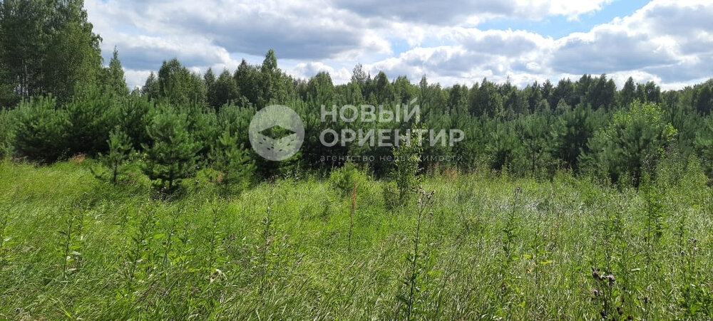 с. Курганово, ул. Советская,   (городской округ Полевской) - фото земельного участка (1)