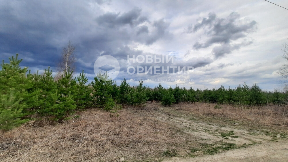 с. Курганово, ул. Советская,   (городской округ Полевской) - фото земельного участка (3)