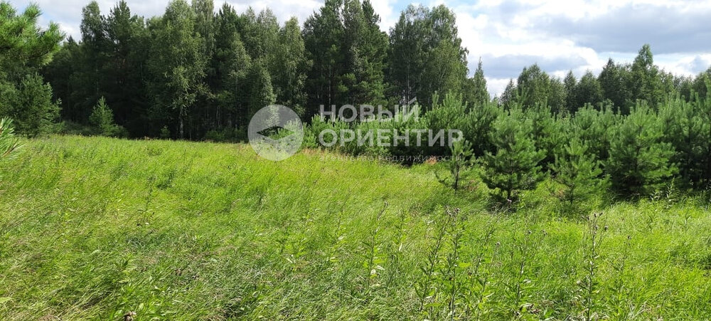с. Курганово, ул. Советская,   (городской округ Полевской) - фото земельного участка (5)