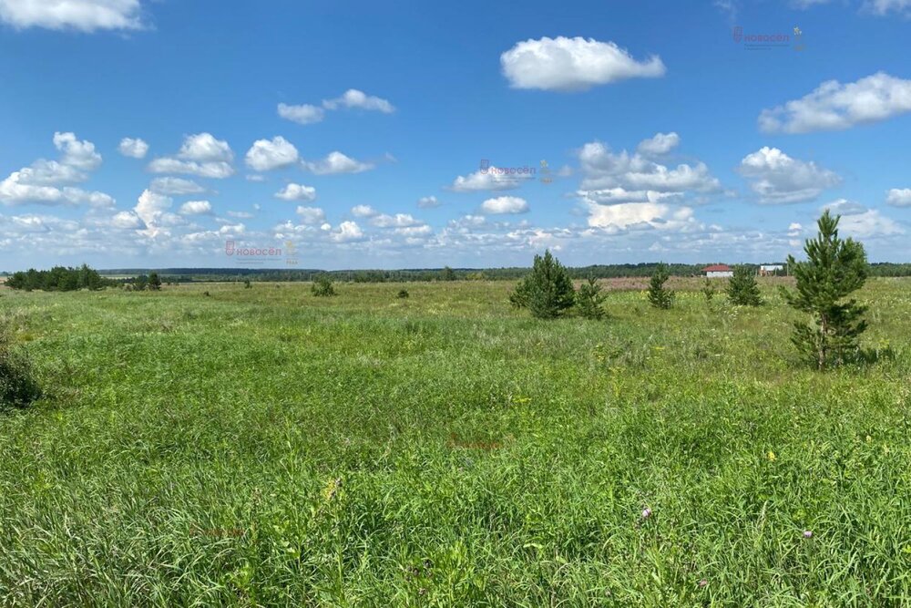 с. Логиново, ул. Речная, 1 (городской округ Белоярский) - фото дома (3)