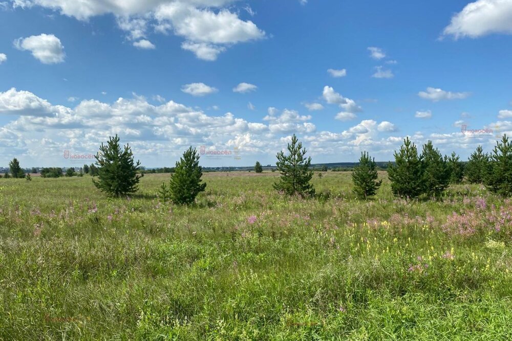 с. Логиново, ул. Речная, 1 (городской округ Белоярский) - фото дома (4)