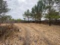Продажа дома: с. Логиново, ул. Речная, 1 (городской округ Белоярский) - Фото 8