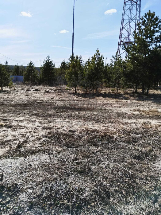 с. Черноусово, ул. Горная, 24В (городской округ Белоярский) - фото земельного участка (4)