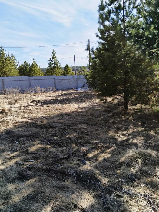 с. Черноусово, ул. Горная, 24В (городской округ Белоярский) - фото земельного участка (6)