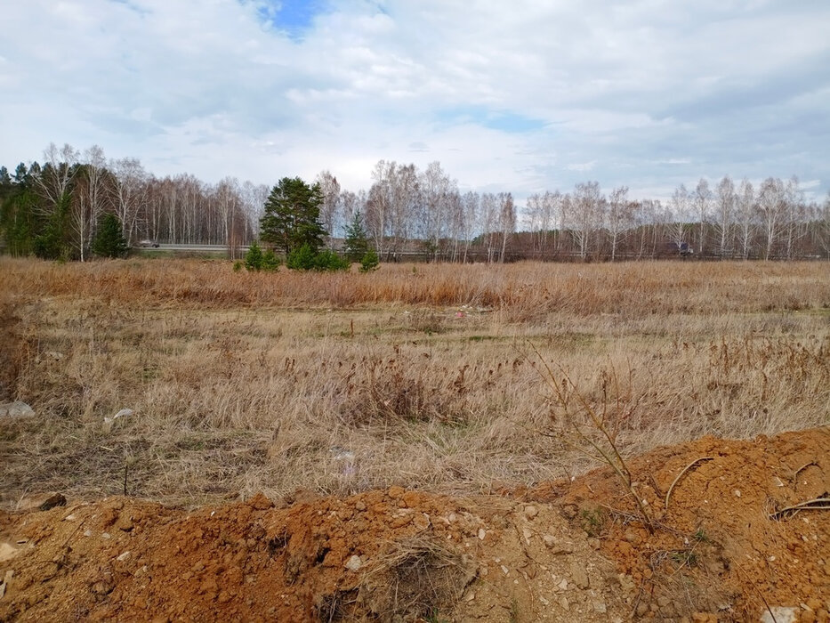 Екатеринбург, ул. Романтиков, 42 - фото земельного участка (3)