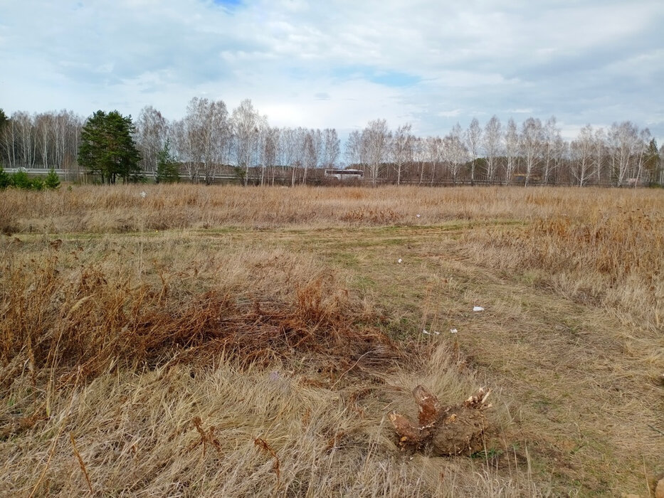 Екатеринбург, ул. Романтиков, 42 - фото земельного участка (4)