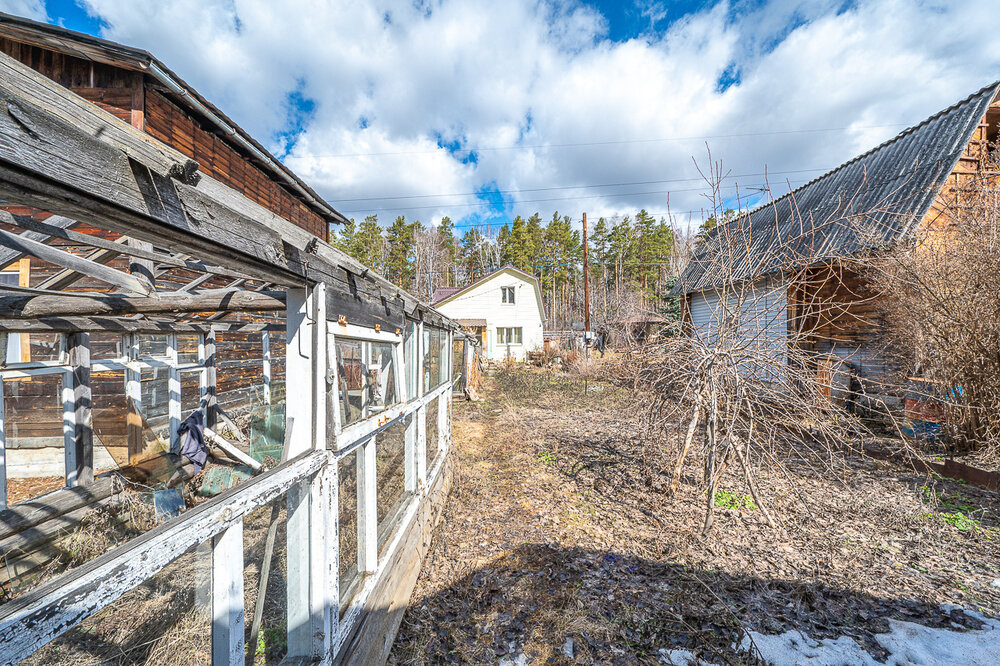 Екатеринбург, снт. Луч-3, уч. 246 (Технопарк) - фото сада (4)