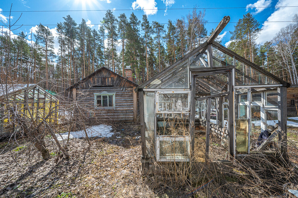 Екатеринбург, снт. Луч-3, уч. 246 (Технопарк) - фото сада (6)