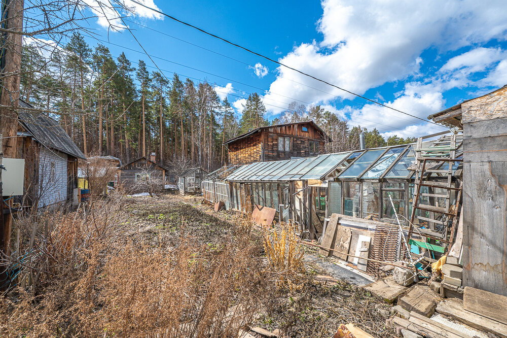Екатеринбург, снт. Луч-3, уч. 246 (Технопарк) - фото сада (7)