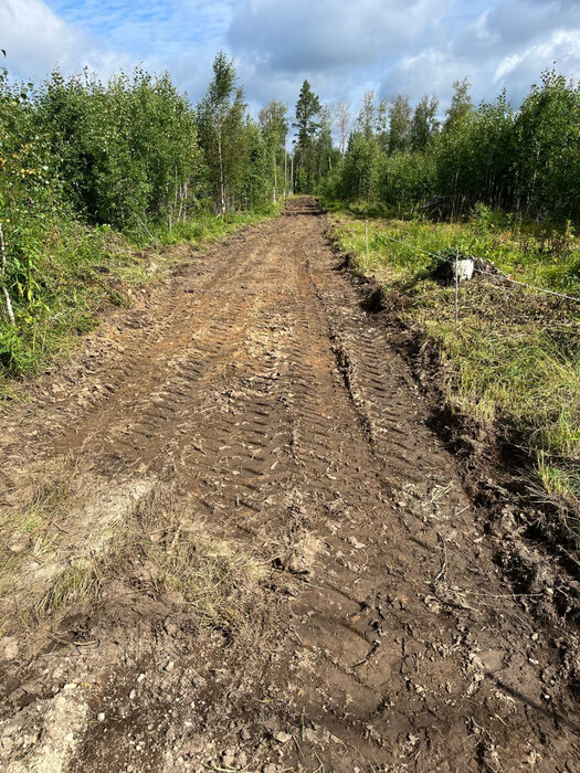 с. Кунгурка, урочище Дегтяные, уч.   (городской округ Ревда) - фото сада (2)