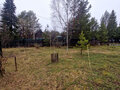 Продажа дома: д. Крутиха, ул. Мира,   (городской округ Режевской) - Фото 8