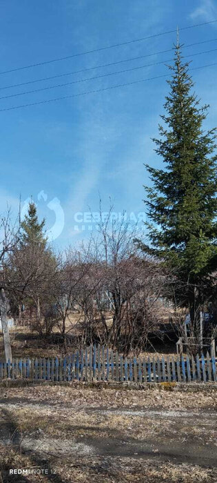 п. Гагарский, СНТ Гагарское (городской округ Белоярский) - фото сада (5)