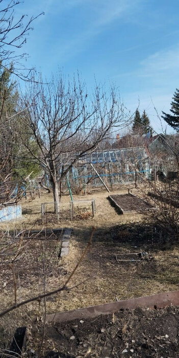 п. Гагарский, СНТ Гагарское (городской округ Белоярский) - фото сада (8)