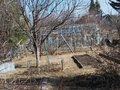 Продажа садового участка: п. Гагарский, СНТ Гагарское (городской округ Белоярский) - Фото 8